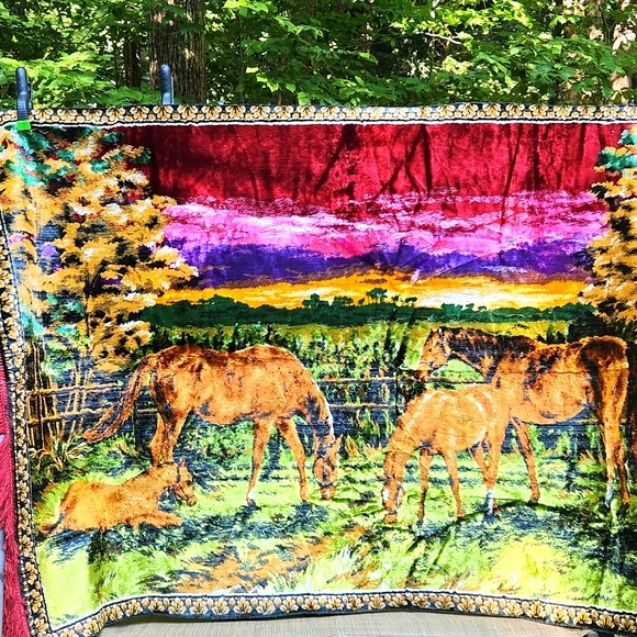 Vintage Large western Equestrian Woven wall hanging or throw rug With Fringe